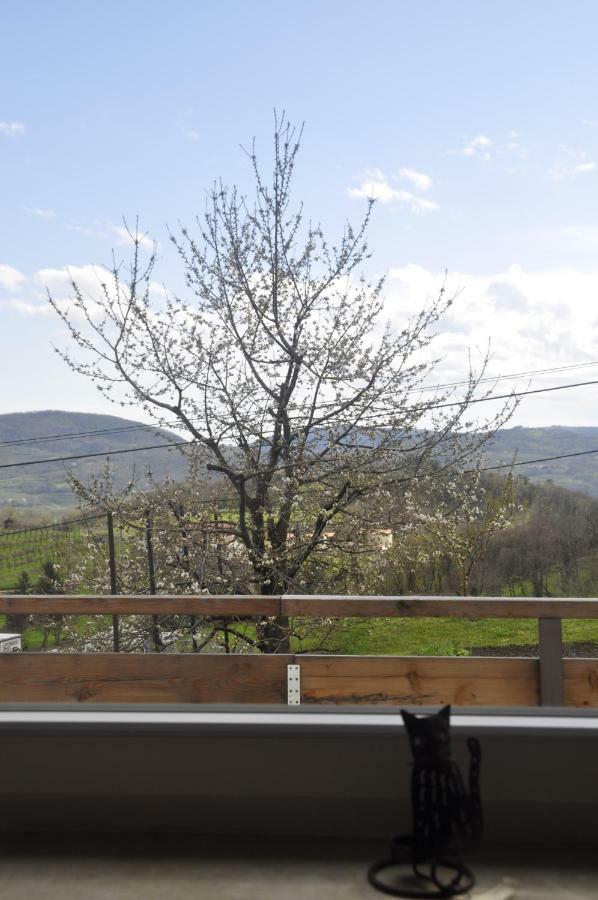 Apartma Bajci Ajdovščina Exterior foto
