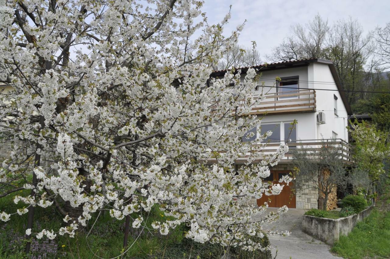 Apartma Bajci Ajdovščina Exterior foto