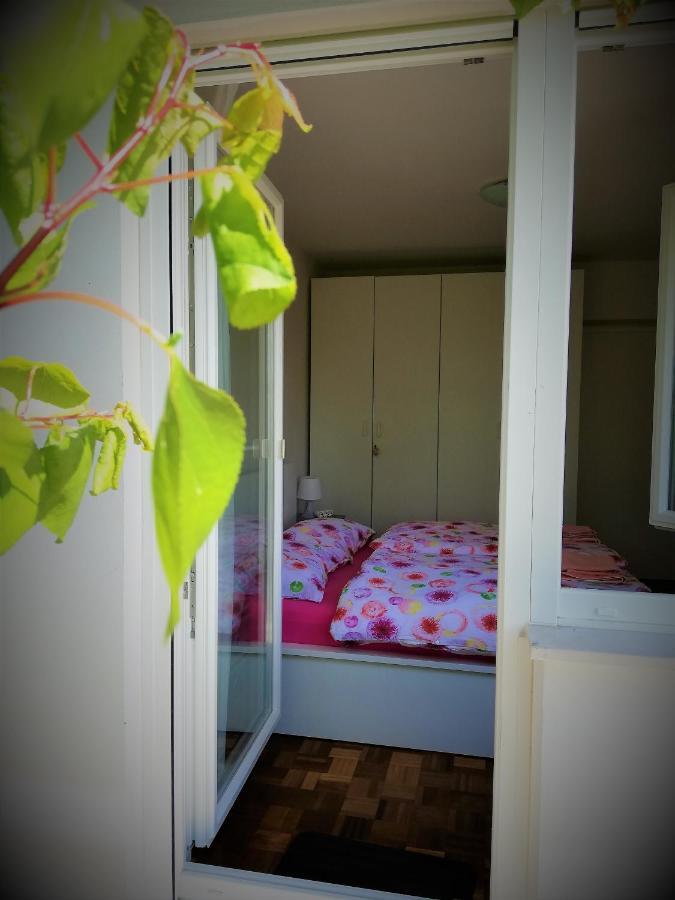 Apartma Bajci Ajdovščina Exterior foto